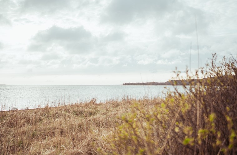 Brejning Efterskole i naturen i Jylland (1)