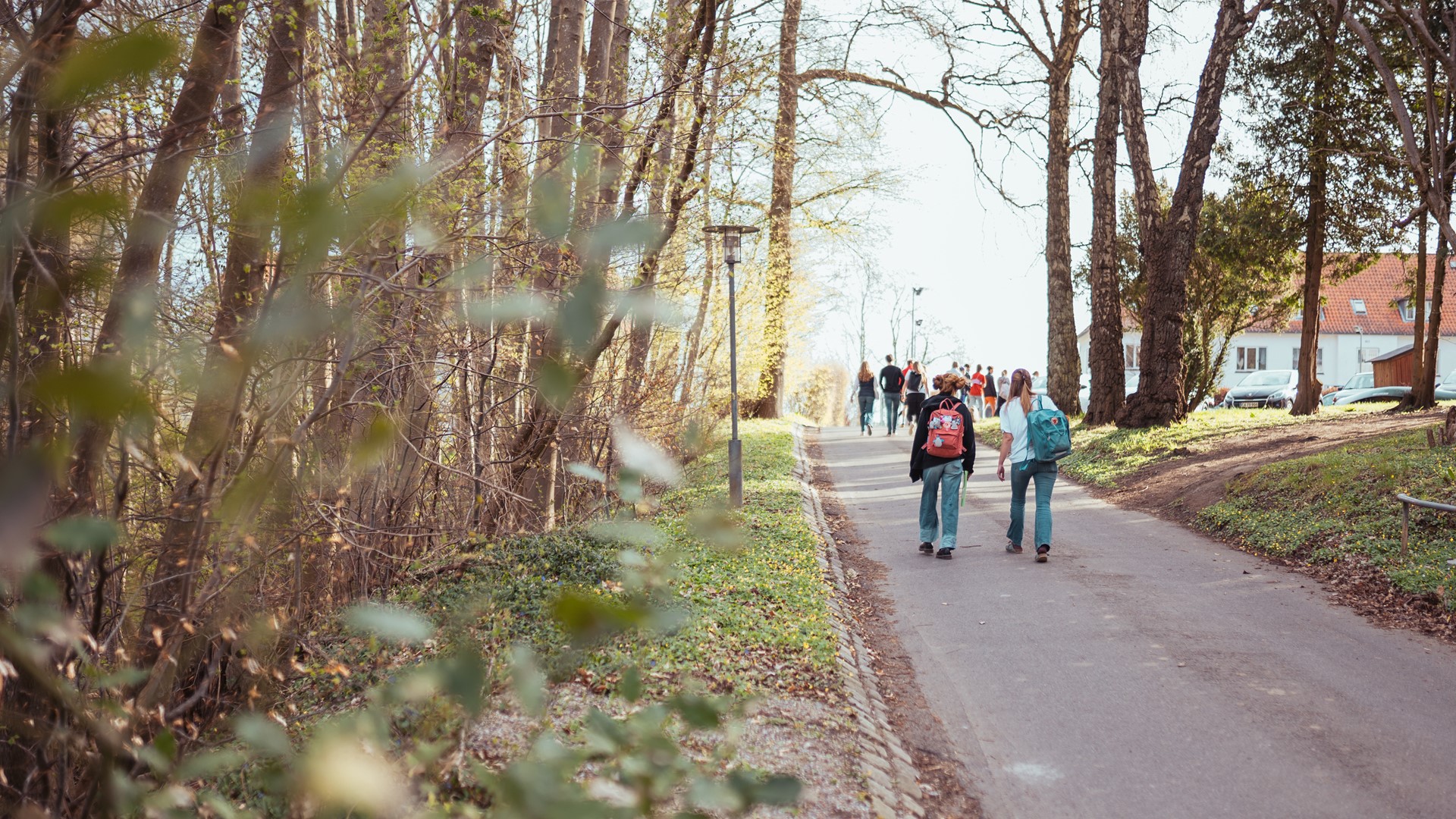Brejning Efterskole i naturen i Jylland